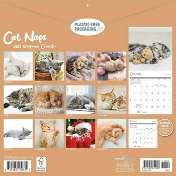 Calendrier 2026 Chats Sieste Endormis Cute