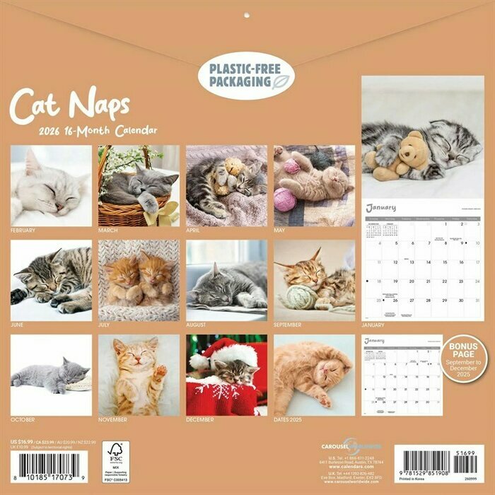 Calendrier 2026 Mural Chats Sieste Endormis Cute