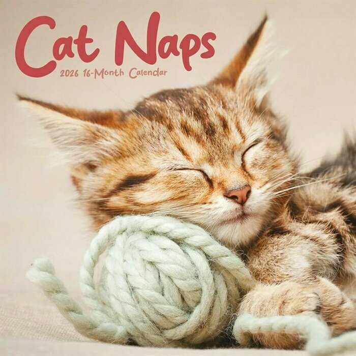 Calendrier 2026 Chats Sieste Endormis Cute