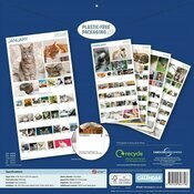 Calendrier Mural 2026 365 Photos de Chats 