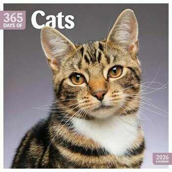 Calendrier 2026 365 Photos de Chats 