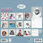 Calendrier Mural 2026 Chats Noir et Blanc Fun Drôle