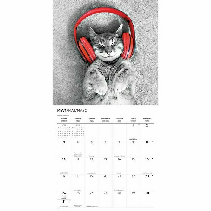 Calendrier Papier 2026 Chats Noir et Blanc Fun Drôle