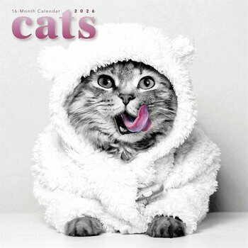 Calendrier 2026 Chats Noir et Blanc Fun Drôle
