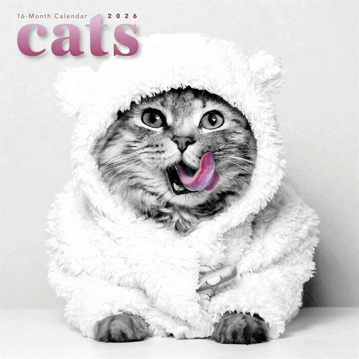 Calendrier 2026 Chats Noir et Blanc Fun Drôle