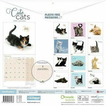 Calendrier 2026 Chats et Chatons So Cute
