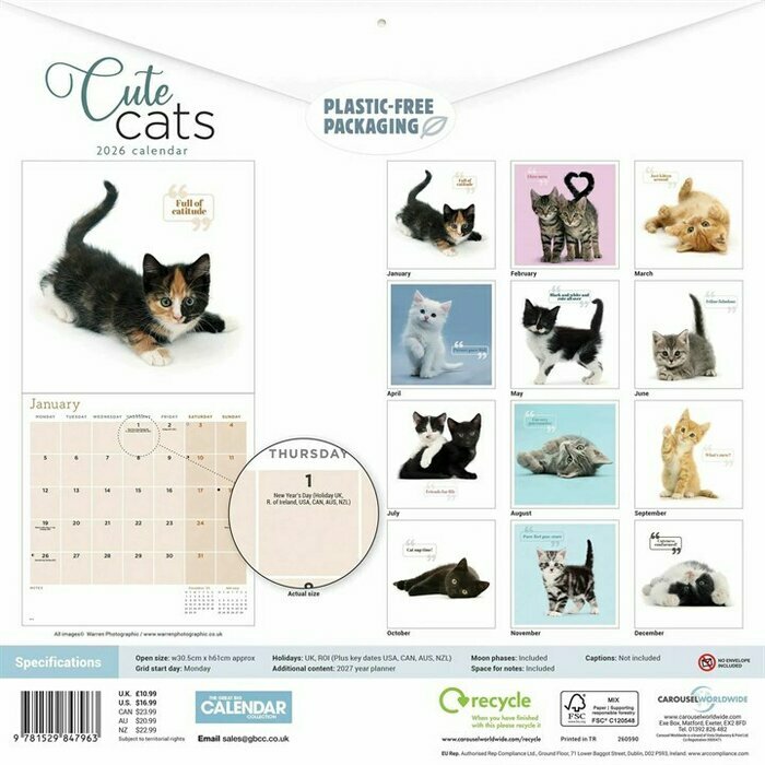 Calendrier Mural 2026 Chats et Chatons So Cute