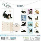 Calendrier Mural 2026 Chats et Chatons So Cute