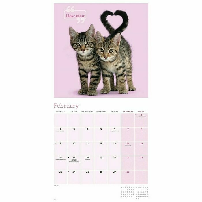 Calendrier Papier 2026 Chats et Chatons So Cute