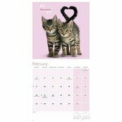 Calendrier Papier 2026 Chats et Chatons So Cute