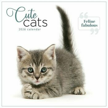 Calendrier 2026 Chats et Chatons So Cute