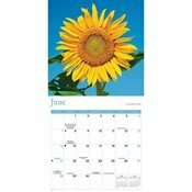 Calendrier 2026 Tournesols Fleur du Soleil