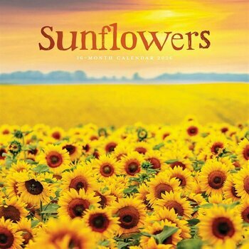 Calendrier 2026 Tournesols Fleur du Soleil