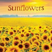 Calendrier 2026 Tournesols Fleur du Soleil