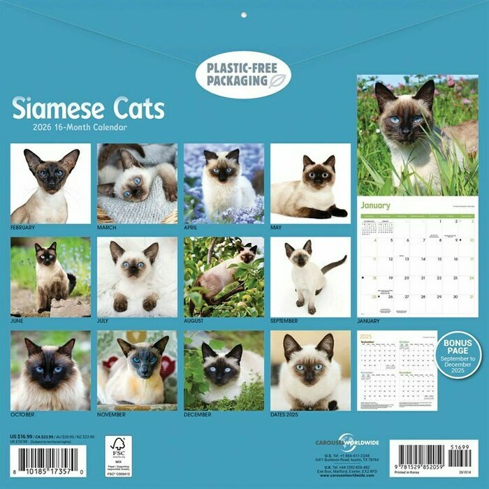 Calendrier 2026 Mural Siamois Chats et Chatons