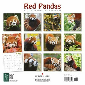 Calendrier 2026 Pandas Roux