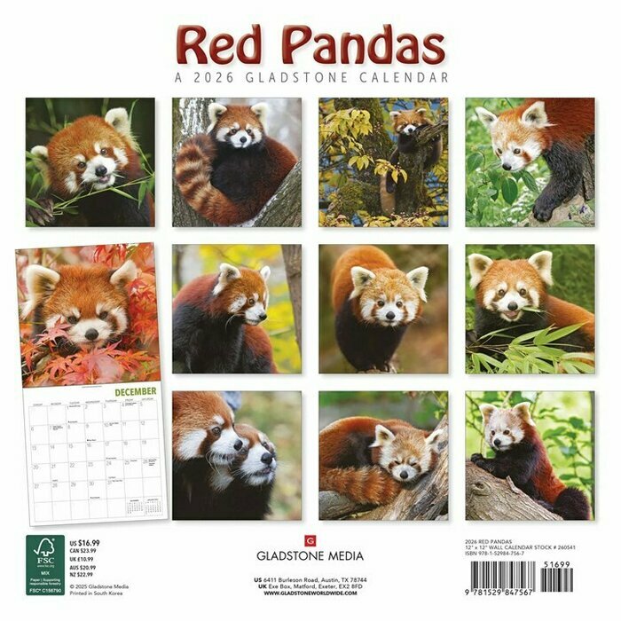 Calendrier Mural 2026 Pandas Roux