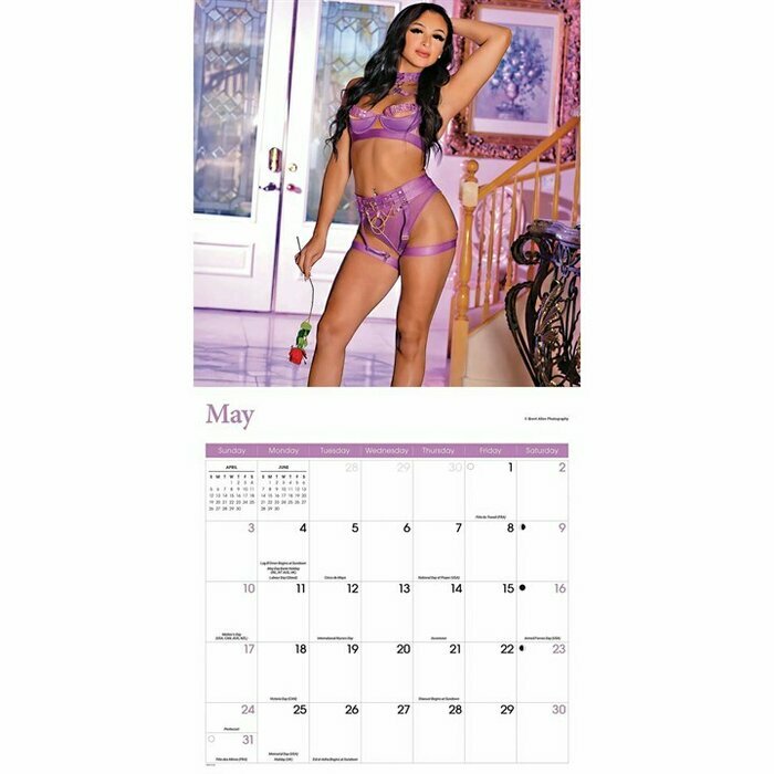 Calendrier Mural 2026 Femme Sensuelle Lingerie