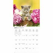 Calendrier Mural 2026 Chatons Mignons Fleuris