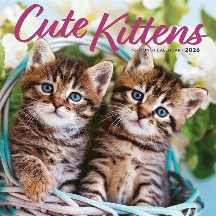 Calendrier 2026 Chatons Mignons Fleuris