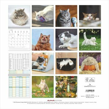 Calendrier 2026 Chats Funny Drôle Calendrier 2026 Chats Funny Drôle