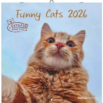 Calendrier 2026 Chats Funny Drôle Calendrier 2026 Chats Funny Drôle
