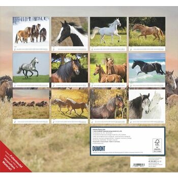 Maxi Calendrier 38x35.5cm 2026 Superbes Chevaux Maxi Calendrier 38x35.5cm 2026 Superbes Chevaux