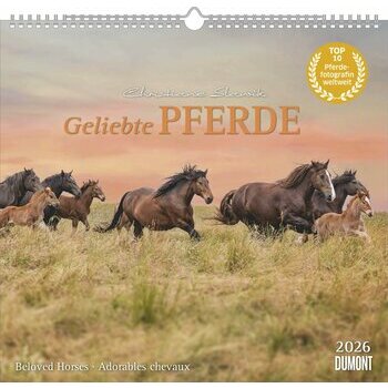 Maxi Calendrier 38x35.5cm 2026 Superbes Chevaux Maxi Calendrier 38x35.5cm 2026 Superbes Chevaux