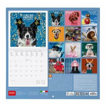 Calendrier 2026 Humour Chien Fun