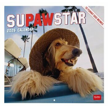 Calendrier 2026 Humour Chien Fun