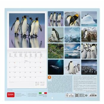 Calendrier 2026 Pingouin Banquise Calendrier 2026 Pingouin Banquise
