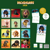 Calendrier 2026 Teckels Fun Studio Calendrier papier Mural 2026 Teckels Fun Studio