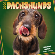 Calendrier 2026 Teckels Fun Studio Calendrier Mural 2026 Teckels Fun Studio