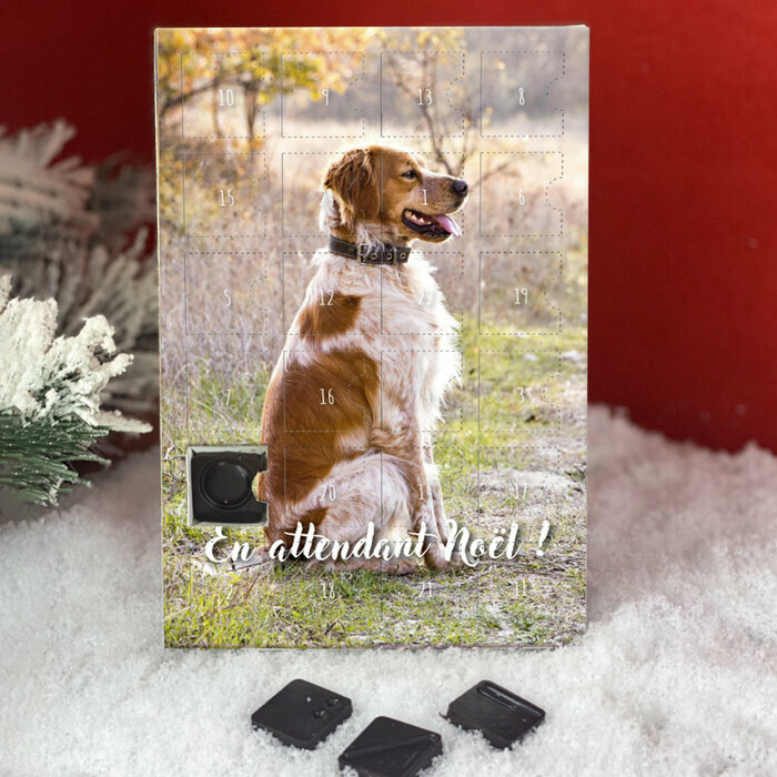 Version Personnlise Epagneul Breton