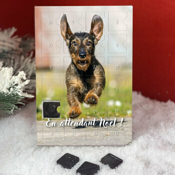 Calendrier de l'avent Teckel Poil Dur personnalisé avec votre message