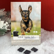 Version Personnlise Teckel Poil Dur 