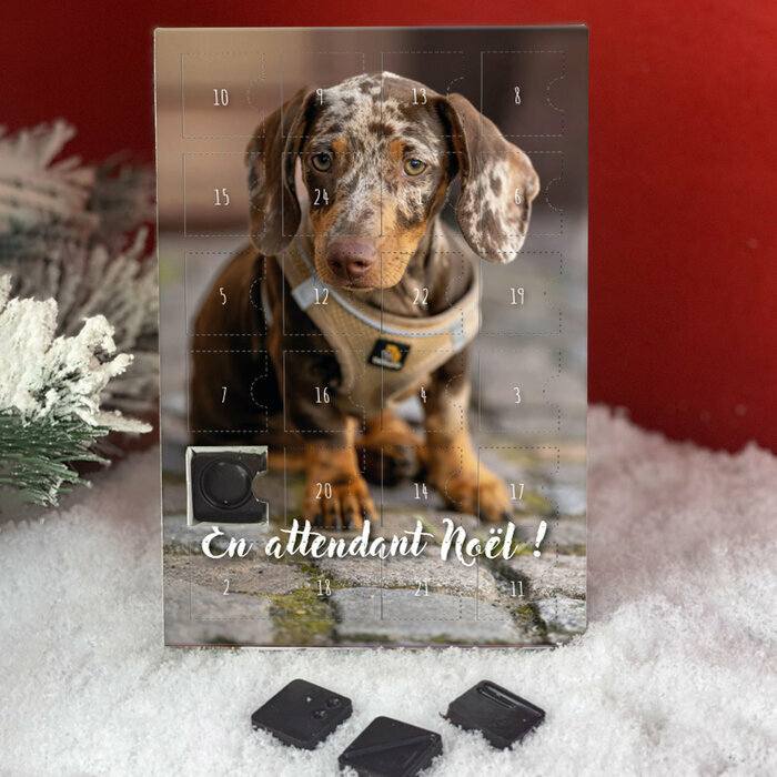 Version Personnlise Teckel Poil Lisse Arlequin