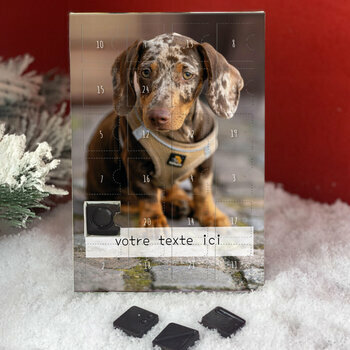 Calendrier de l'avent Teckel Poil Lisse Arlequin personnalisé avec votre message