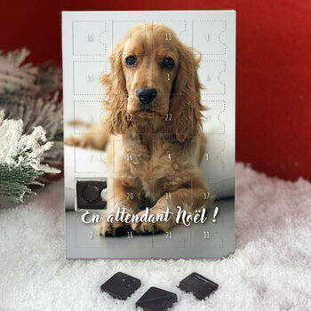 Calendrier de l'avent Cocker Anglais personnalisé avec votre message