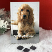 Calendrier AVent Cocker Anglais