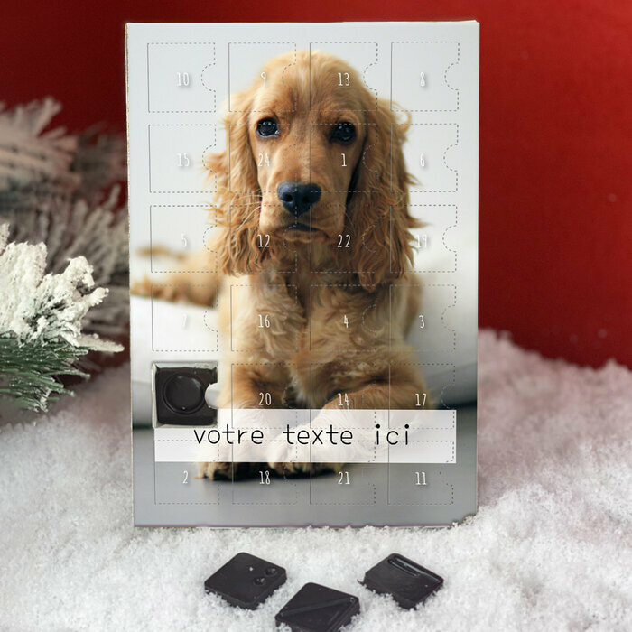 Calendrier AVent Cocker Anglais