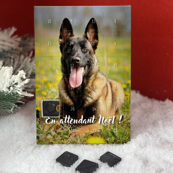 Calendrier de l'avent Berger Belge Malinois personnalisé avec votre message