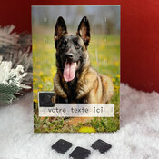 Calendrier AVent Berger Belge Malinois