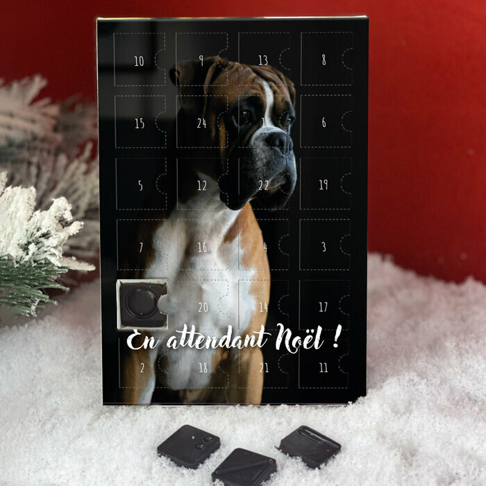 calendrier molosse boxer