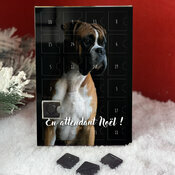 calendrier molosse boxer