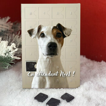 Calendrier de l'avent Jack Russell personnalisé avec votre message