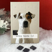 calendrier Avent jack russell