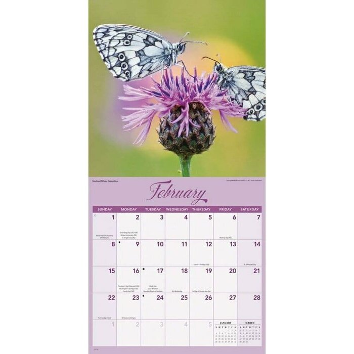 Calendrier 2026 Papillons du Jardin Calendrier papier Papillons du Jardin