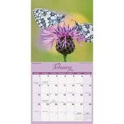 Calendrier 2026 Papillons du Jardin Calendrier papier Papillons du Jardin