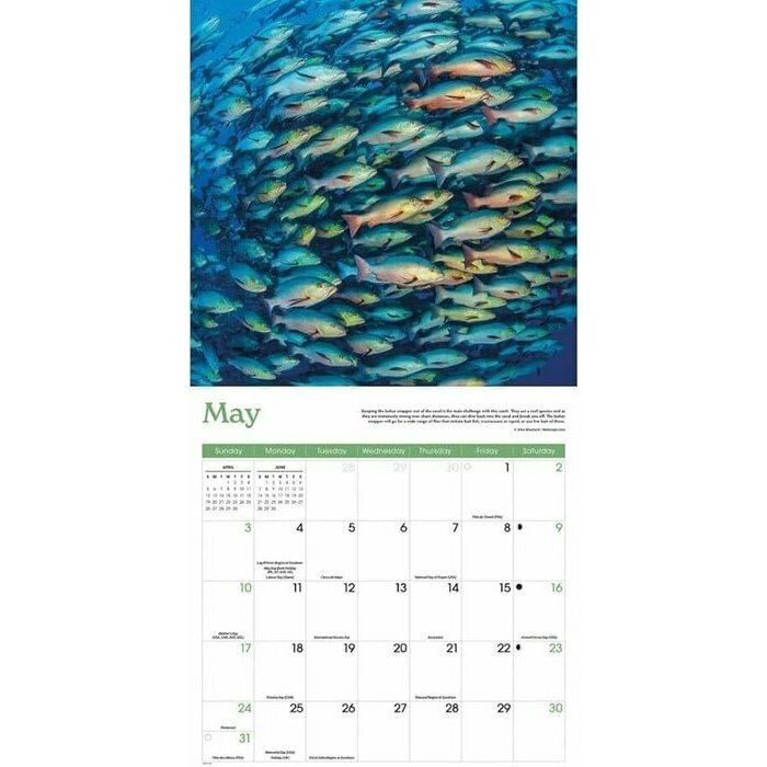 Calendrier papier Passion Pche  la ligne et Carnassiers